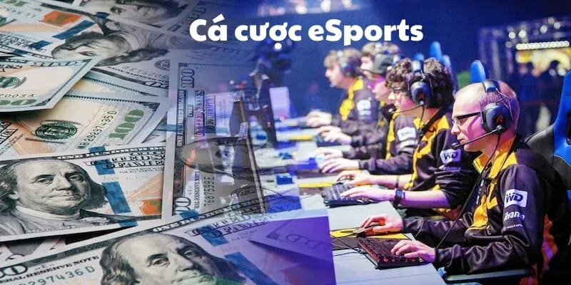 Khám phá về hình thức cá cược eSports tại sân chơi SUNWIN